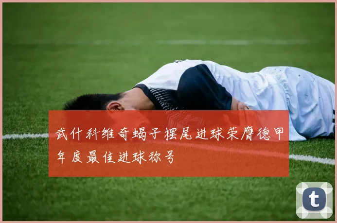 武什科维奇蝎子摆尾进球荣膺德甲年度最佳进球称号
